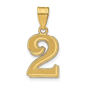 14k Yellow Gold Polished Etched Finish Number 2 Charm Pendant