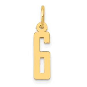 14K Yellow Gold Polished Finish Small Size Elongated Shape Number 6 Charm Pendant