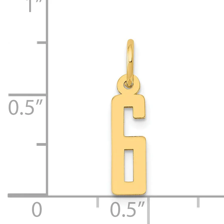 14K Yellow Gold Polished Finish Small Size Elongated Shape Number 6 Charm Pendant