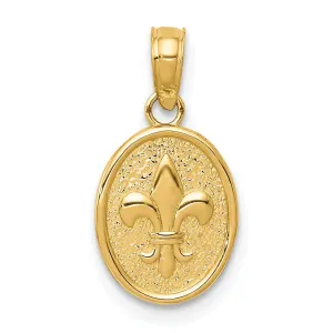 14k Yellow Gold Solid Textured Polished Small Fleur De Lis in Oval Shape Design Charm Pendant