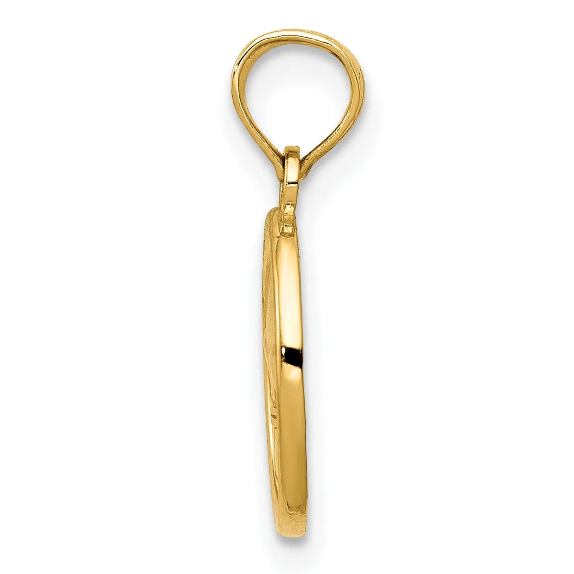 14k Yellow Gold Solid Textured Polished Small Fleur De Lis in Oval Shape Design Charm Pendant