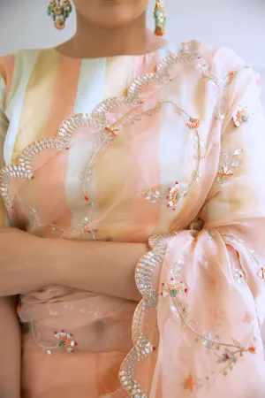 Aarti Sethia Studio    I    Peach Hand embroidered Jaal Saree Set