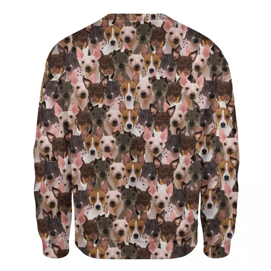 American Hairless Terrier - Full Face - Premium Sweatshirt
