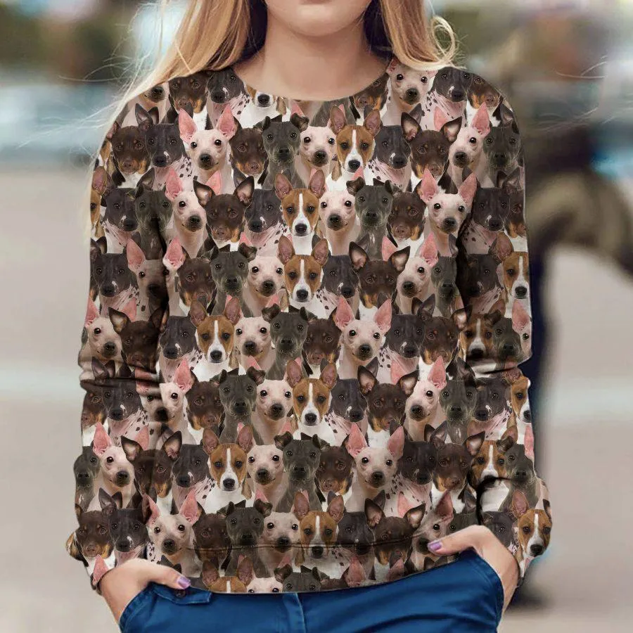 American Hairless Terrier - Full Face - Premium Sweatshirt