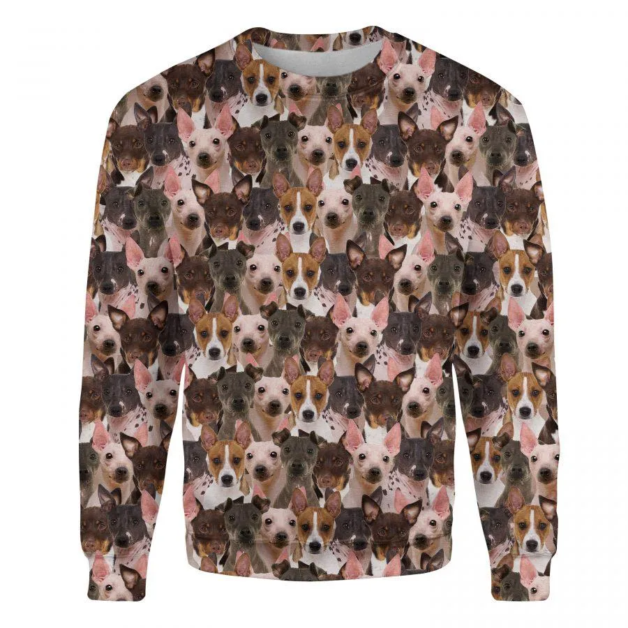 American Hairless Terrier - Full Face - Premium Sweatshirt