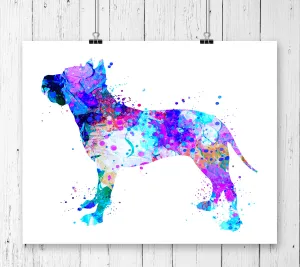 American Staffordshire Terrier Watercolor Art Print - Unframed