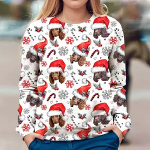 American Water Spaniel - Xmas Decor - Premium Sweatshirt