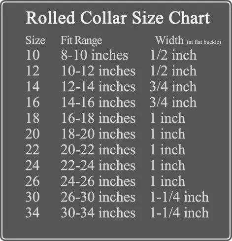Auburn Leathercrafters Rolled Collar