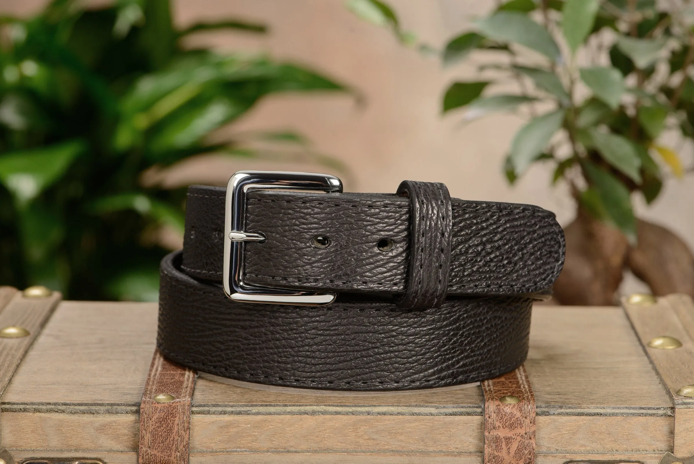 Black Shark Money Belt With 25" Zipper