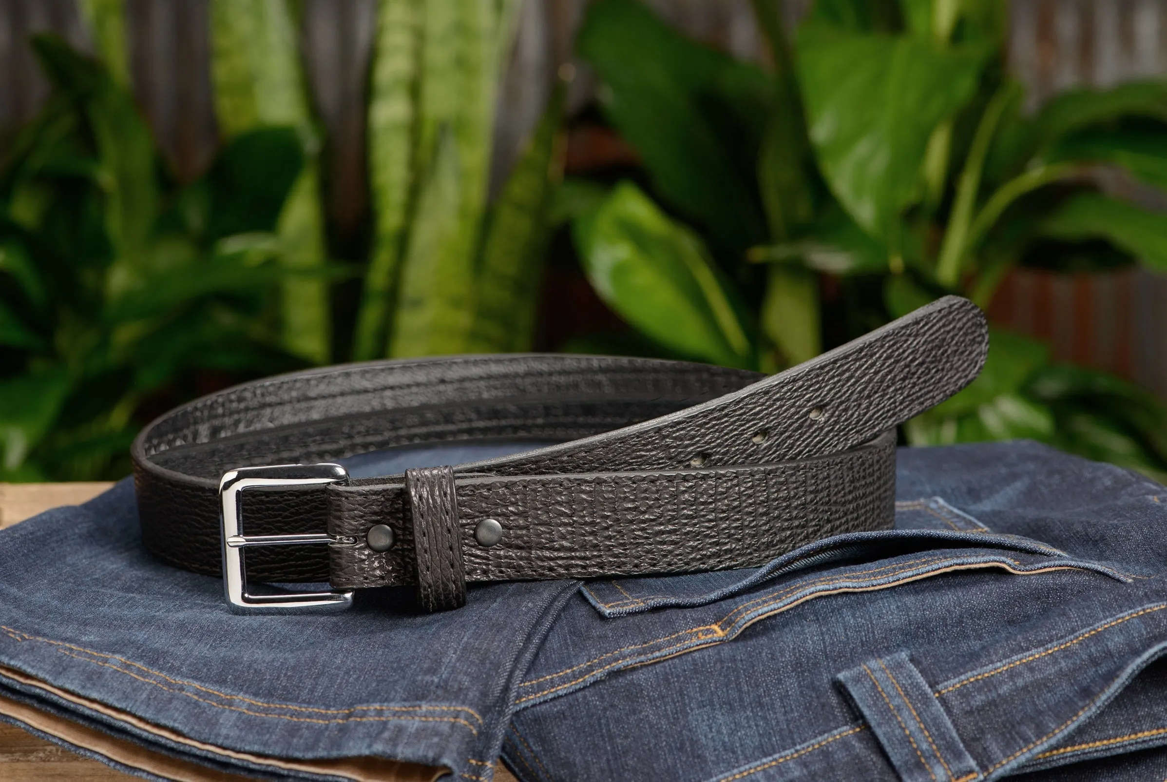 Black Shark Money Belt With 25" Zipper