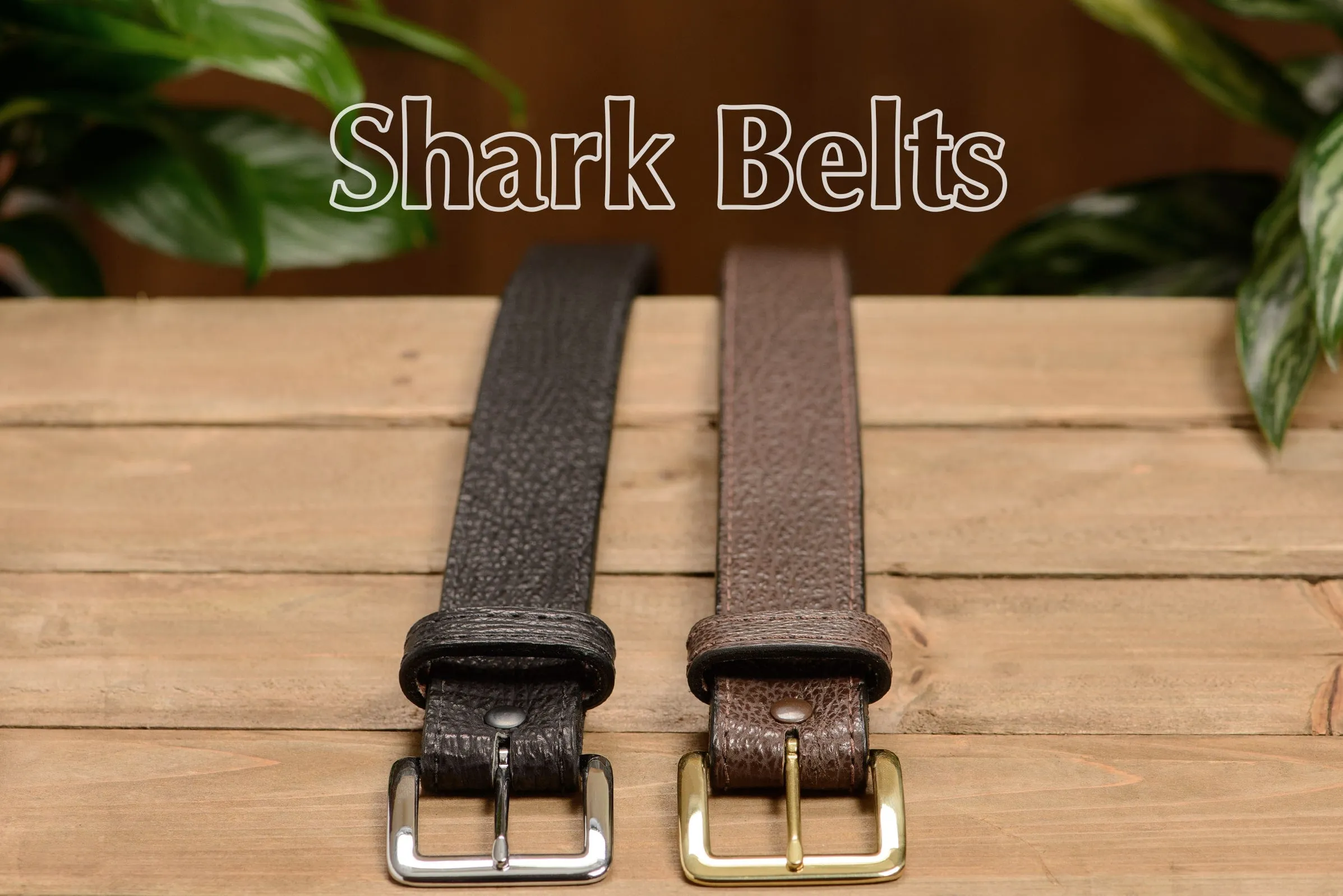 Black Shark Money Belt With 25" Zipper