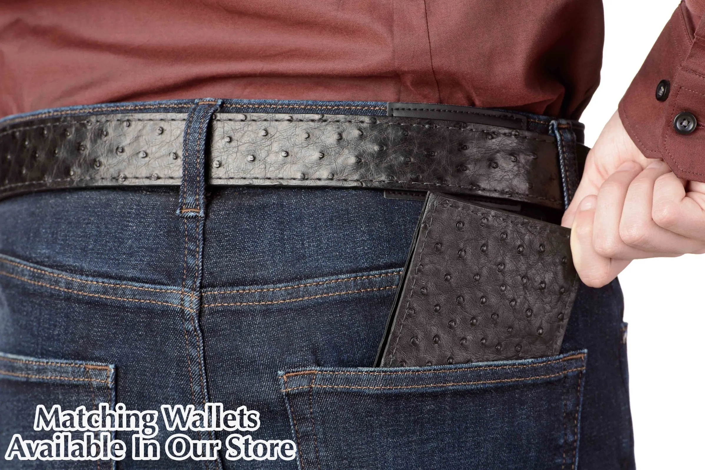 Black South African Ostrich Skin Money Belt With 25" Zipper