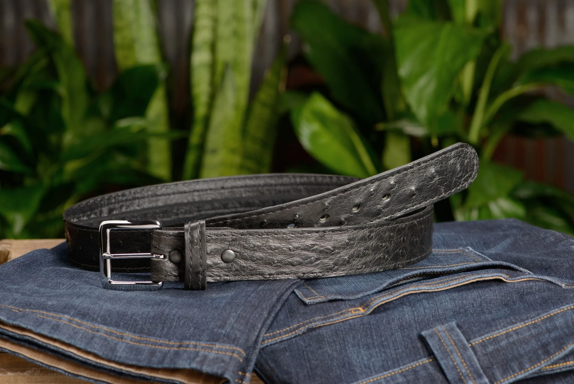 Black South African Ostrich Skin Money Belt With 25" Zipper