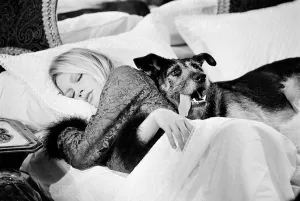 BRIGITTE BARDOT -  HAND SIGNED BY BRIGITTE BARDOT