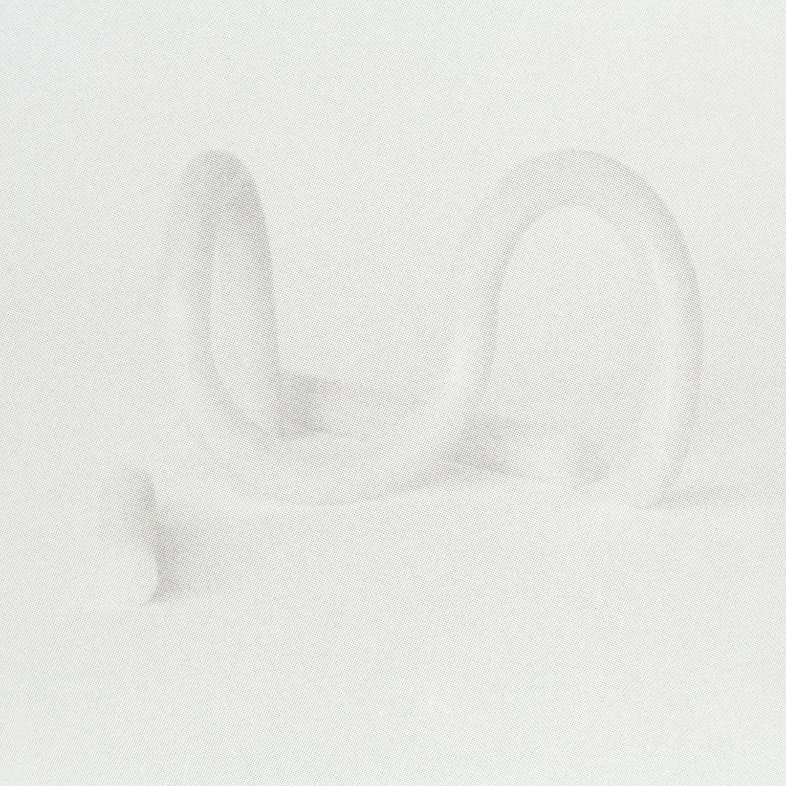 CAROL BOVE, "WHITE COLUMNS" SILKSCREEN, 2014