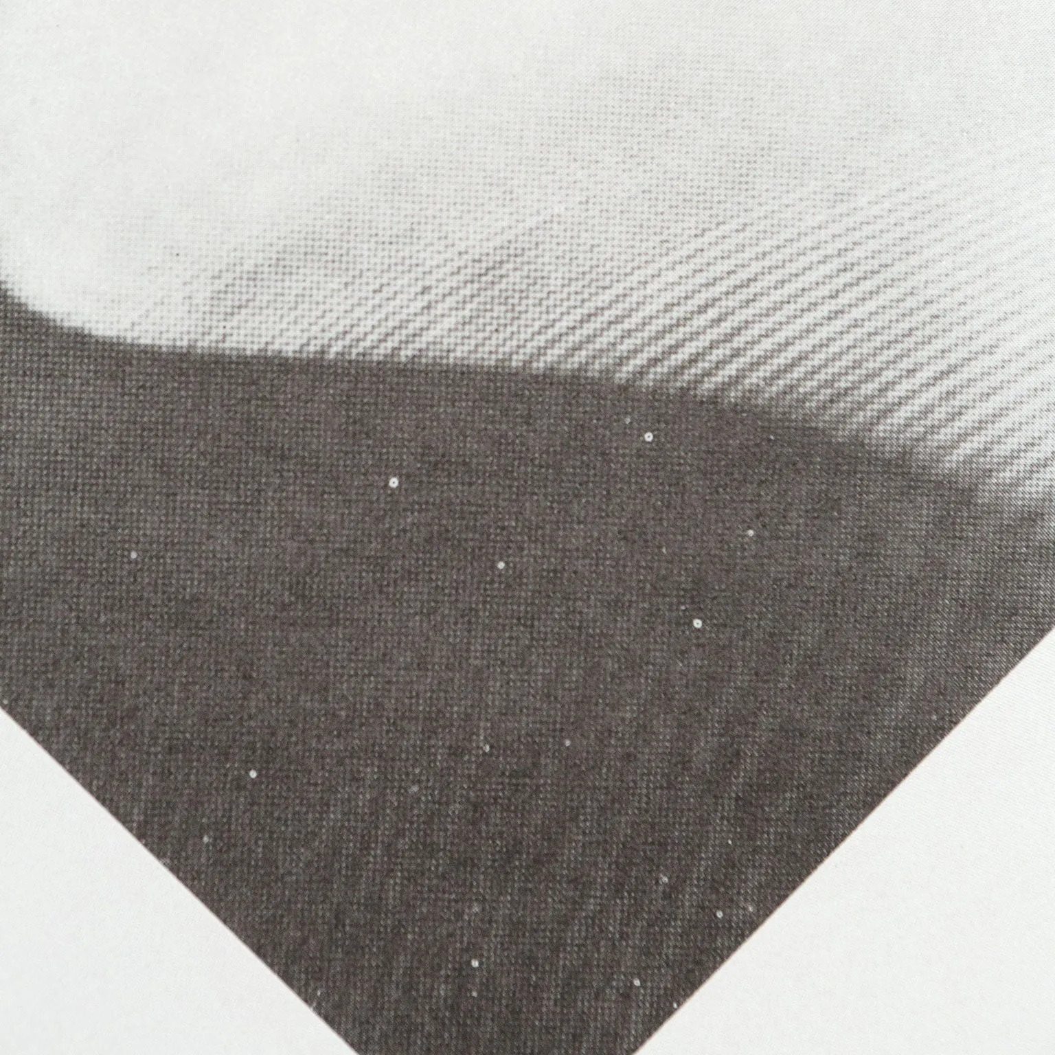 CAROL BOVE, "WHITE COLUMNS" SILKSCREEN, 2014