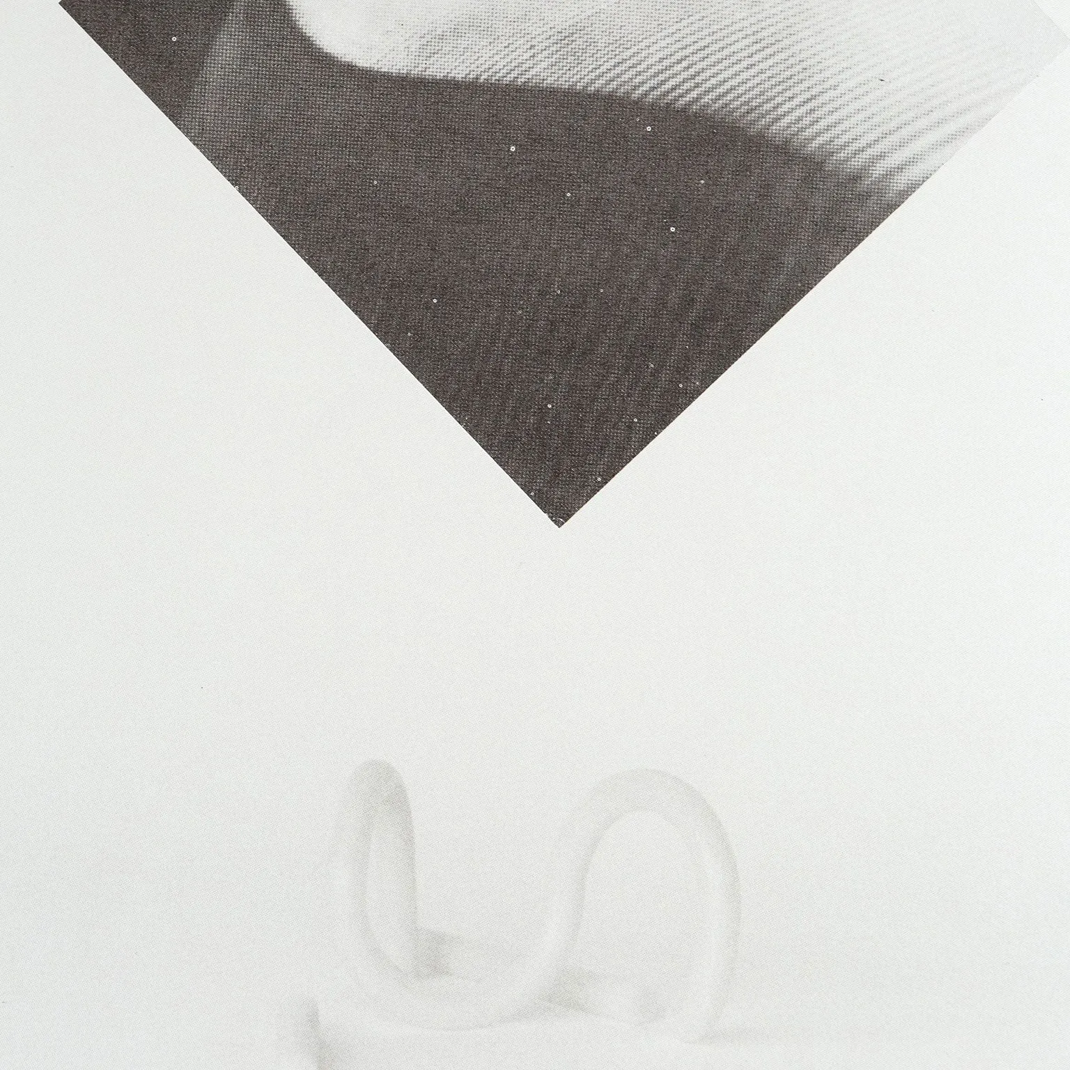 CAROL BOVE, "WHITE COLUMNS" SILKSCREEN, 2014