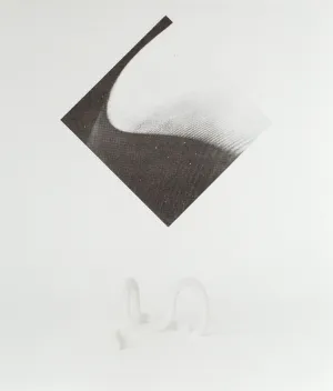 CAROL BOVE, "WHITE COLUMNS" SILKSCREEN, 2014