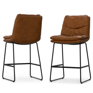 Danika Counter Height stool (Set of 2)