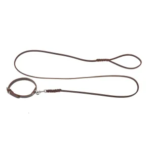 Dingo Gear Puppy Leather Collar & Leash Set