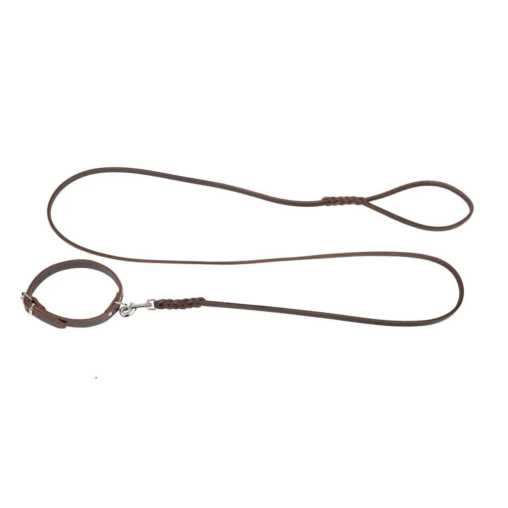 Dingo Gear Puppy Leather Collar & Leash Set