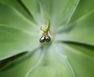 Drop Of Hope