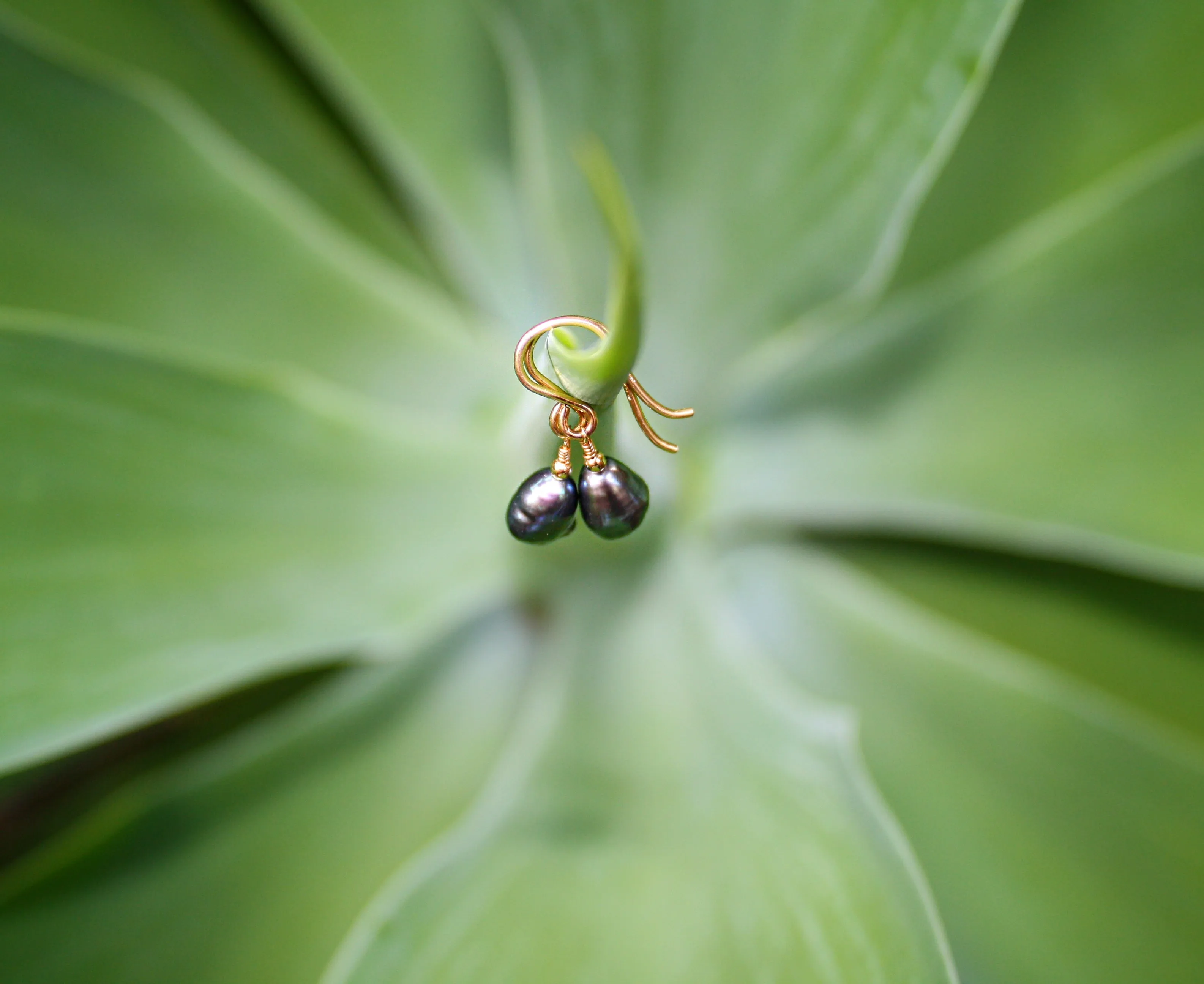Drop Of Hope