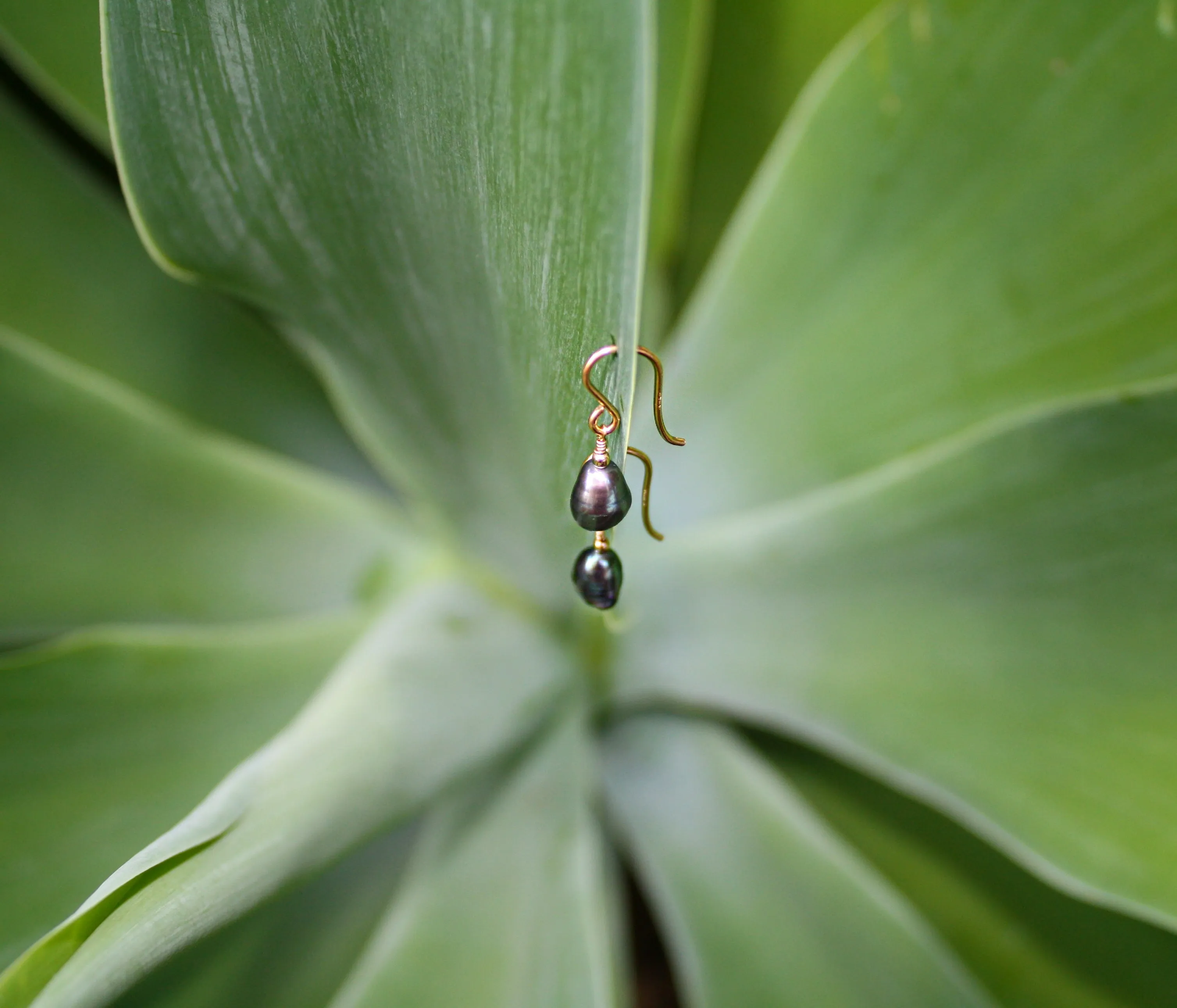 Drop Of Hope