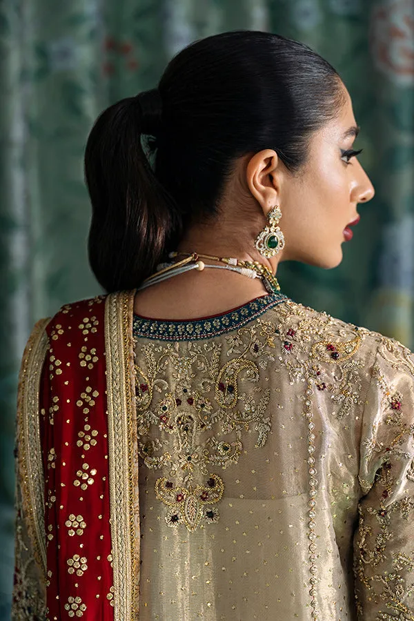 Embellished Pakistani Wedding Dress in Premium Tissue