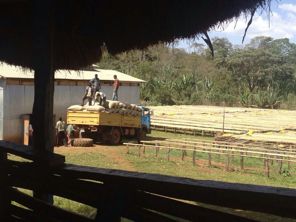 Ethiopia - Natural Guji