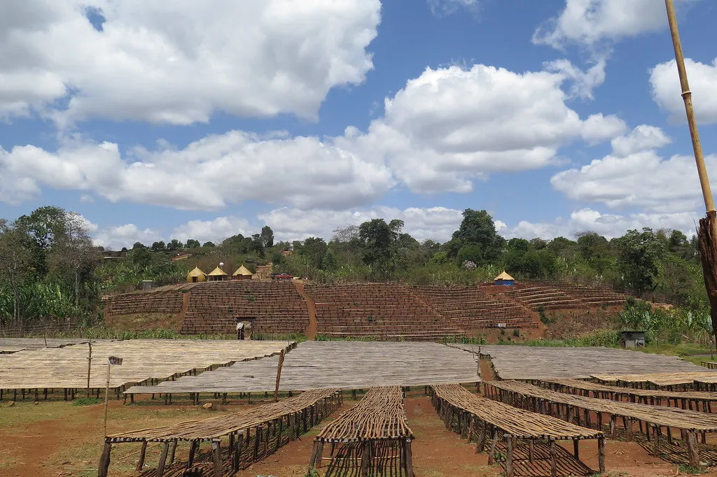 Ethiopia - Natural Guji