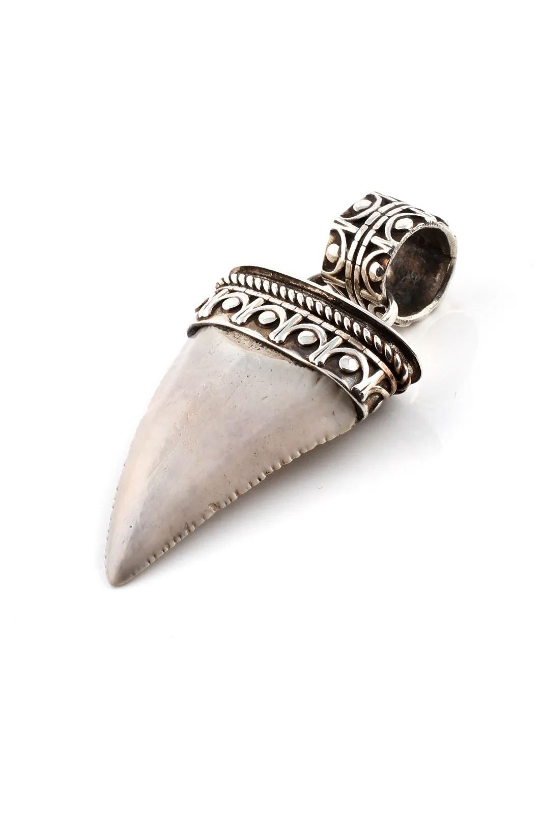 Fossilized Great White Shark Tooth Pendant