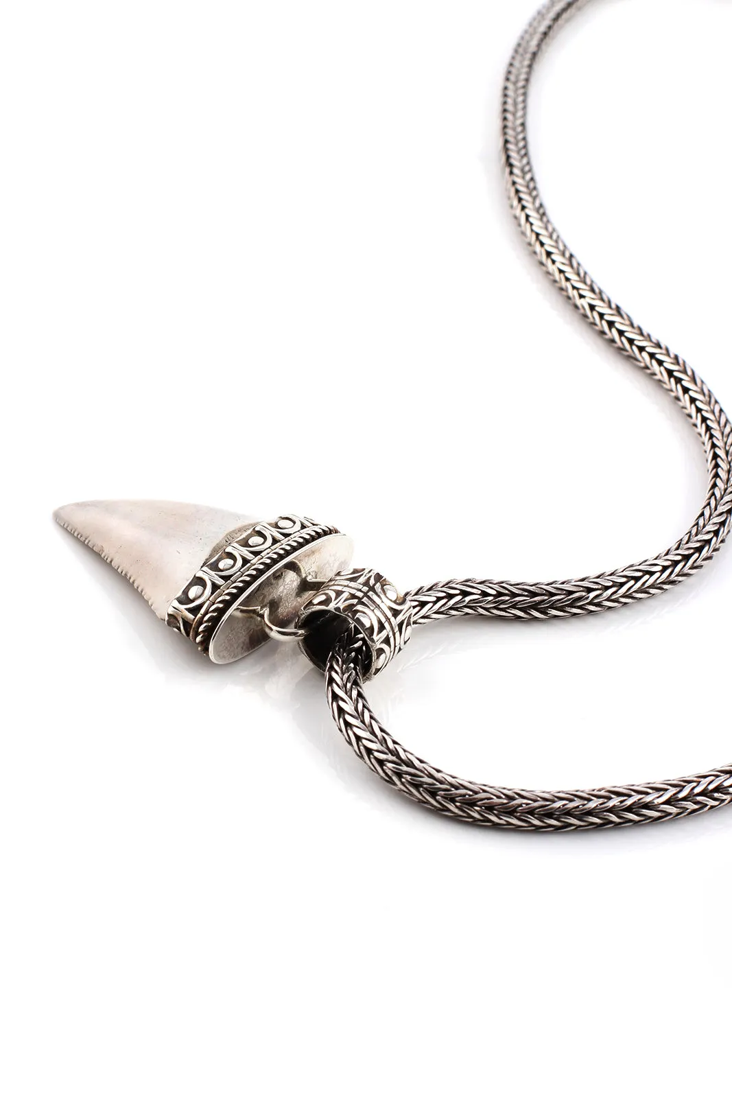 Fossilized Great White Shark Tooth Pendant
