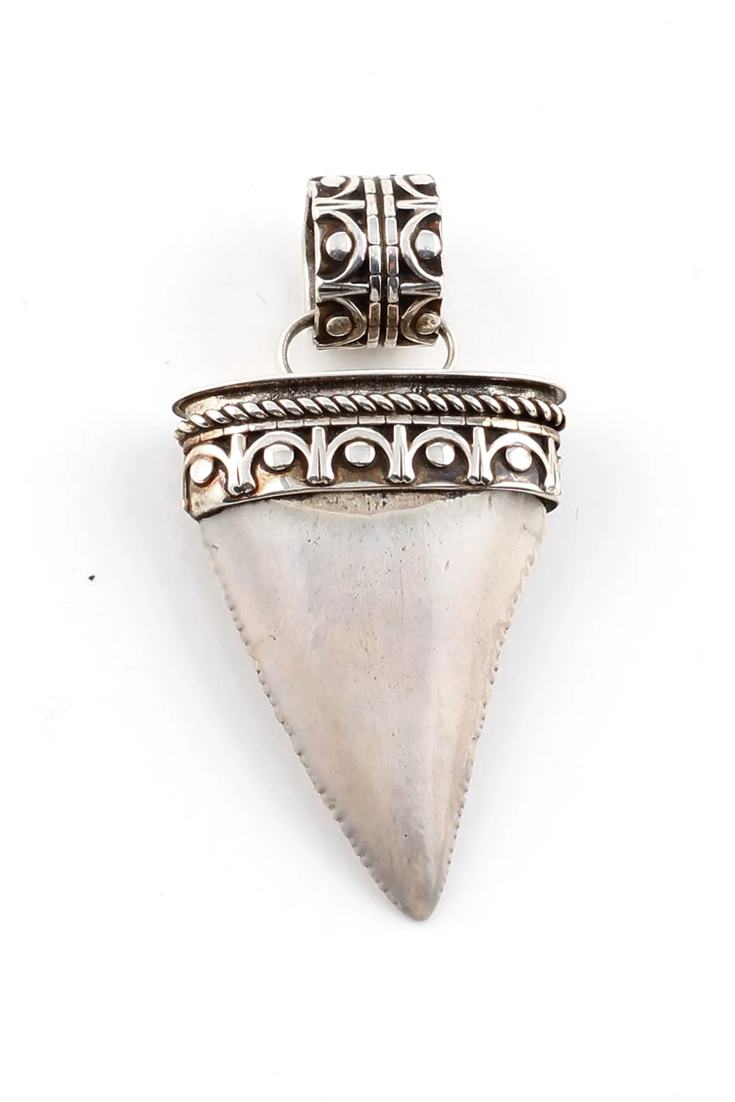 Fossilized Great White Shark Tooth Pendant