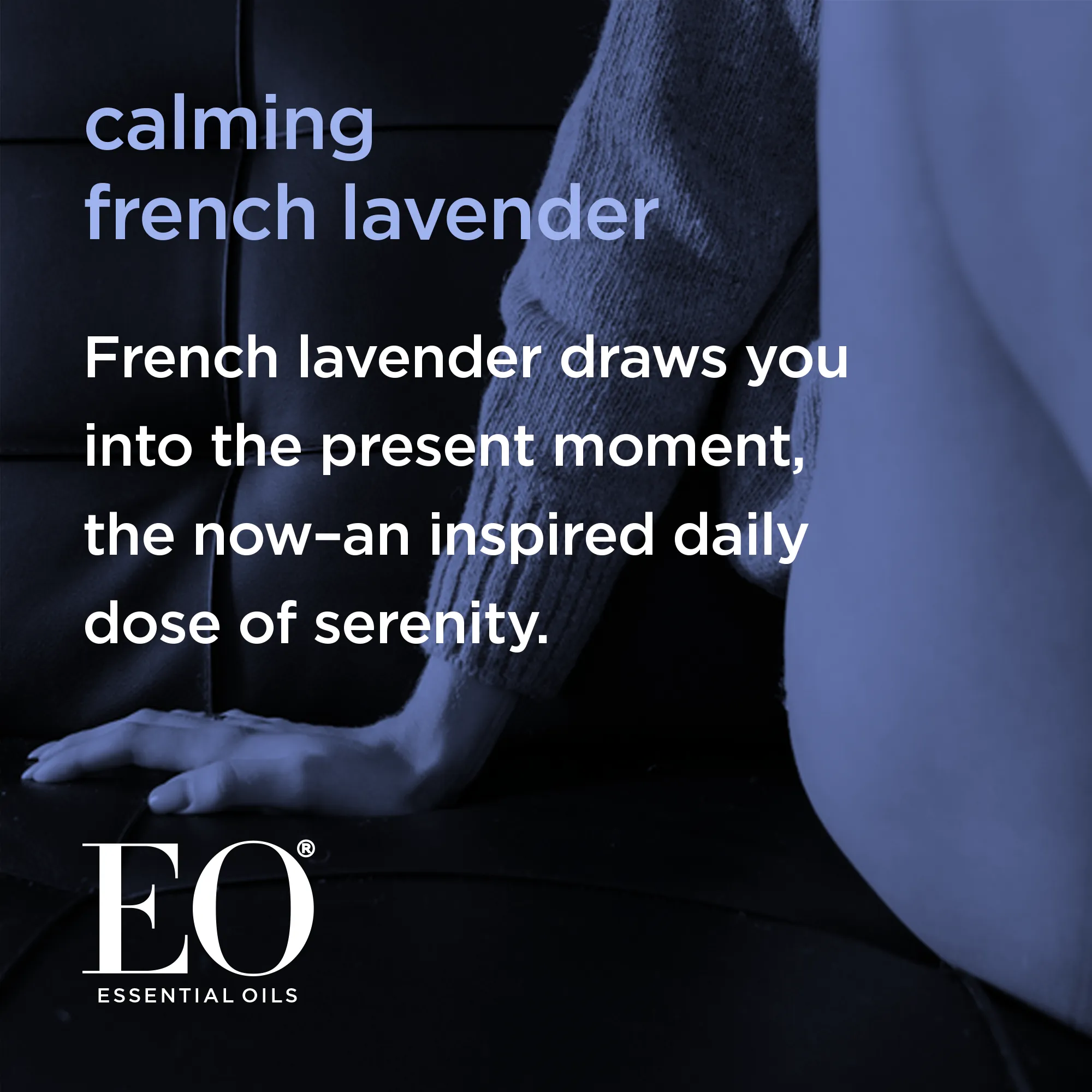 French Lavender Body Lotion
