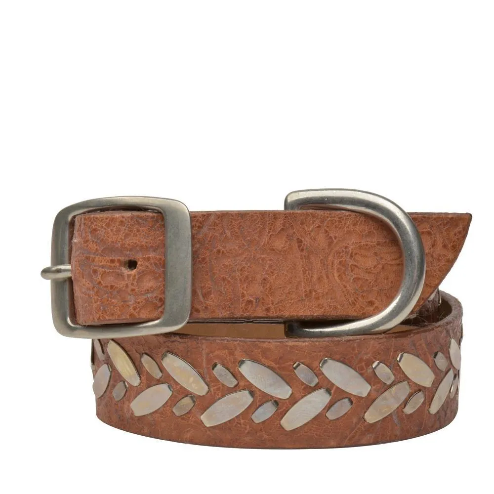 Fresa 20" Dog Collars