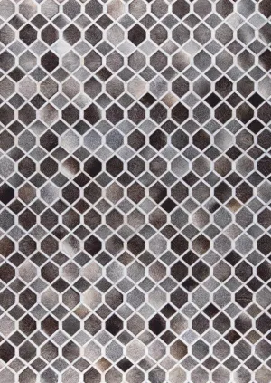Hydra Grey