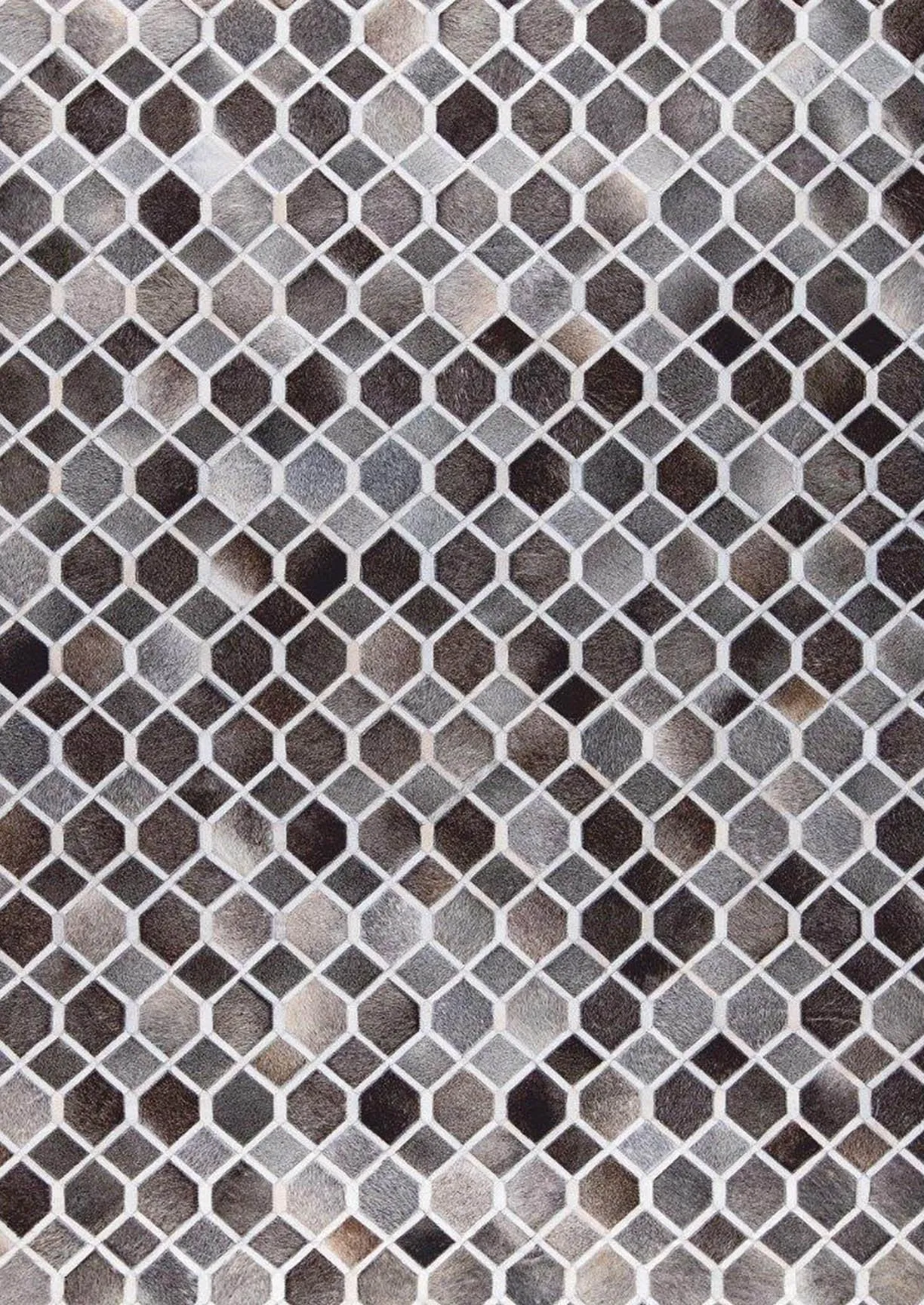 Hydra Grey