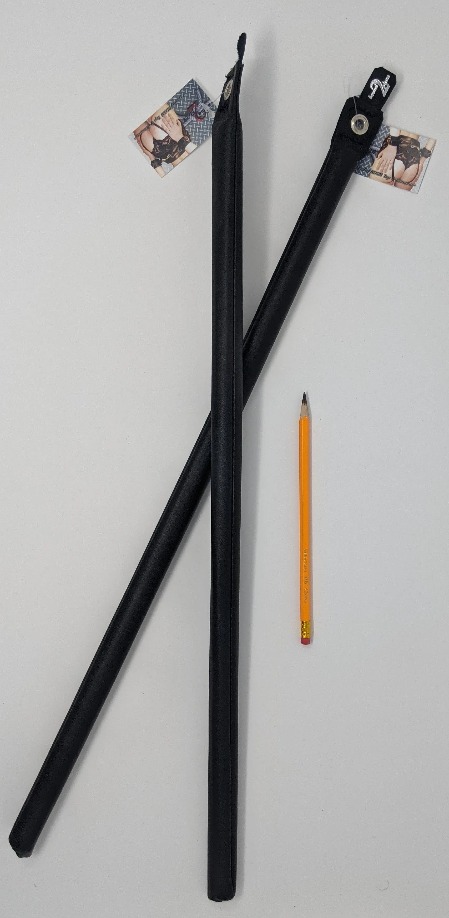 Leather Bamboo Cane ~ Bound to Please