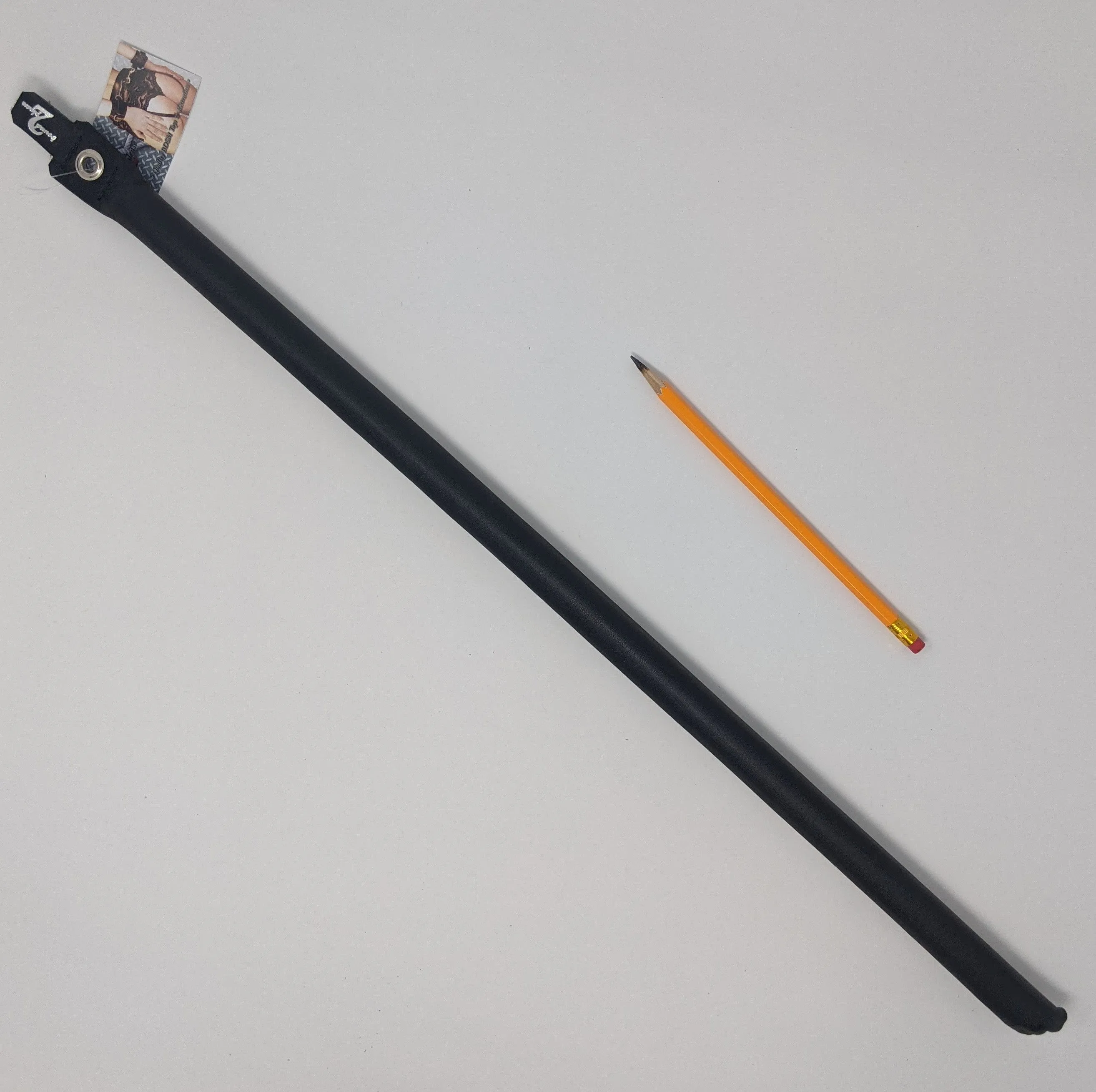 Leather Bamboo Cane ~ Bound to Please