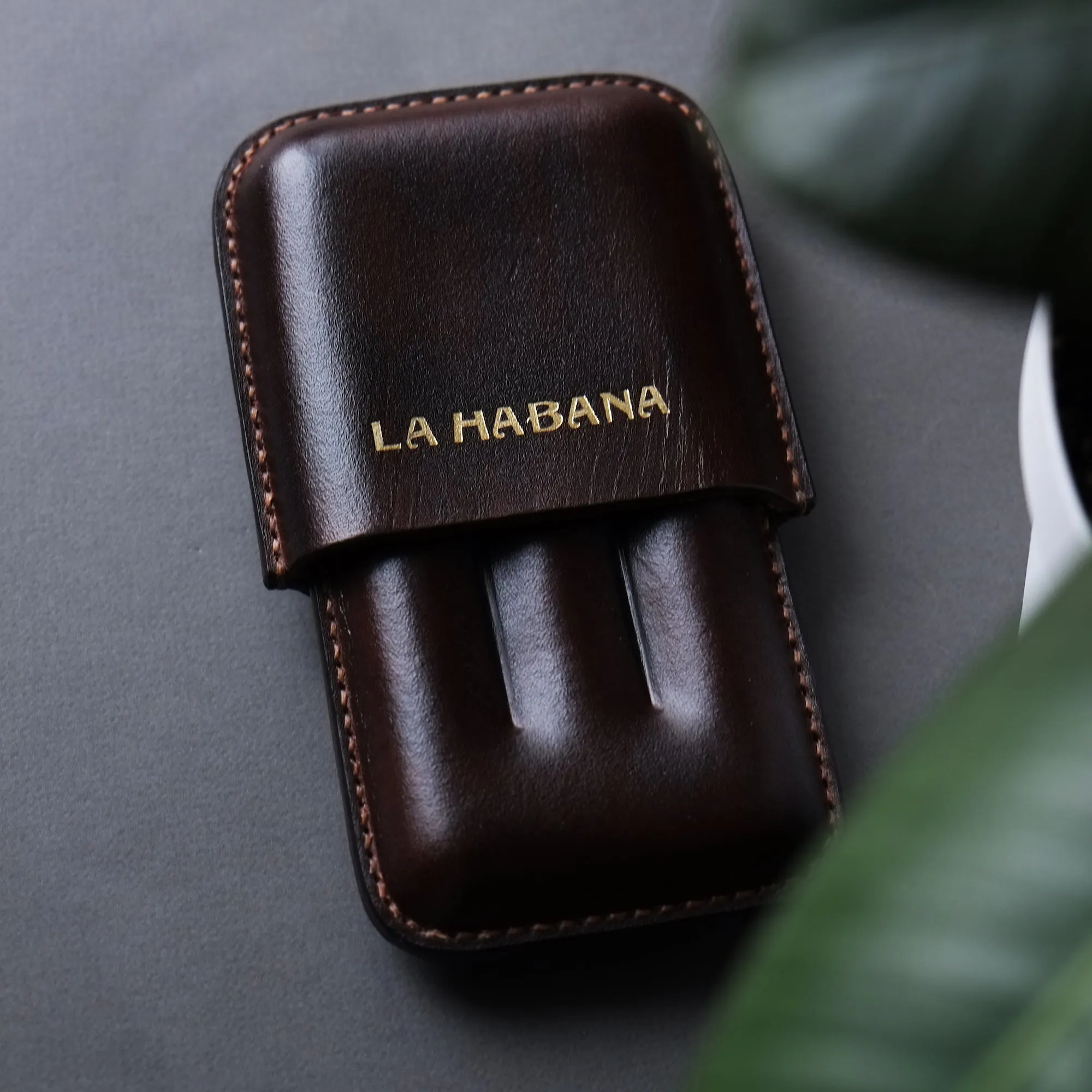 LEATHER CIGAR CASE / BLUE