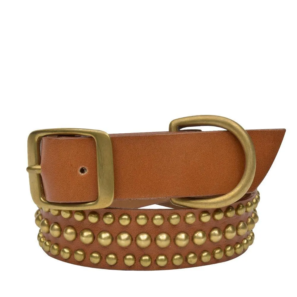 Lichi 19" Dog Collars