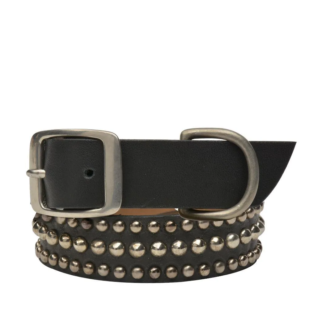 Lichi 19" Dog Collars
