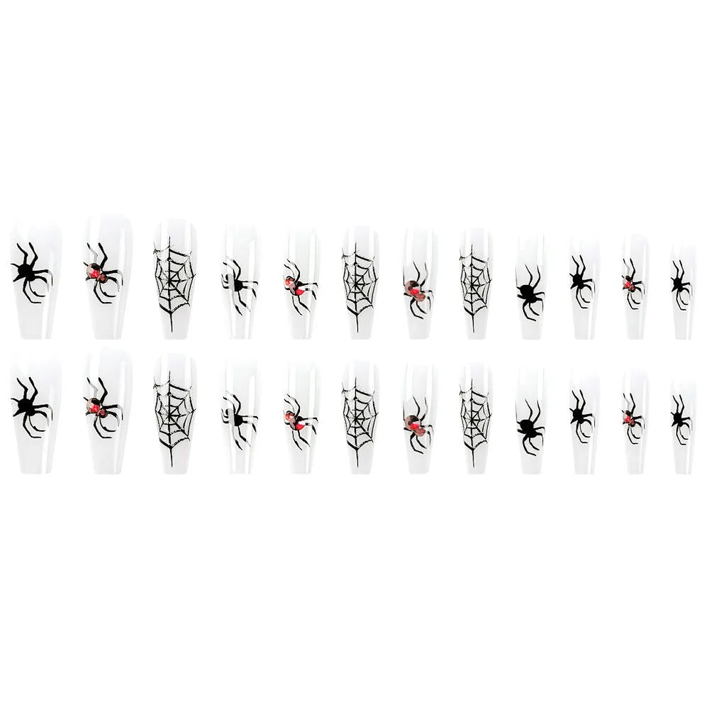 Long Coffin Spider