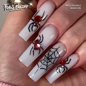 Long Coffin Spider