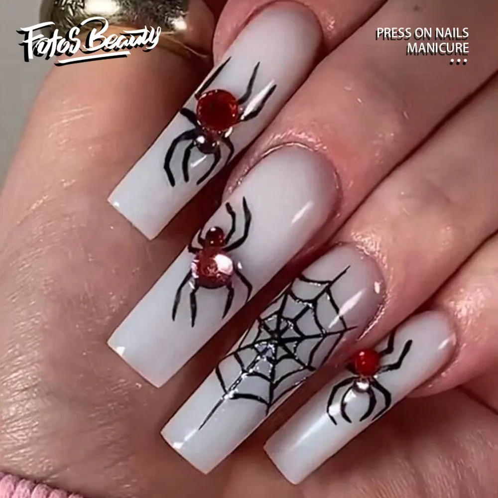 Long Coffin Spider