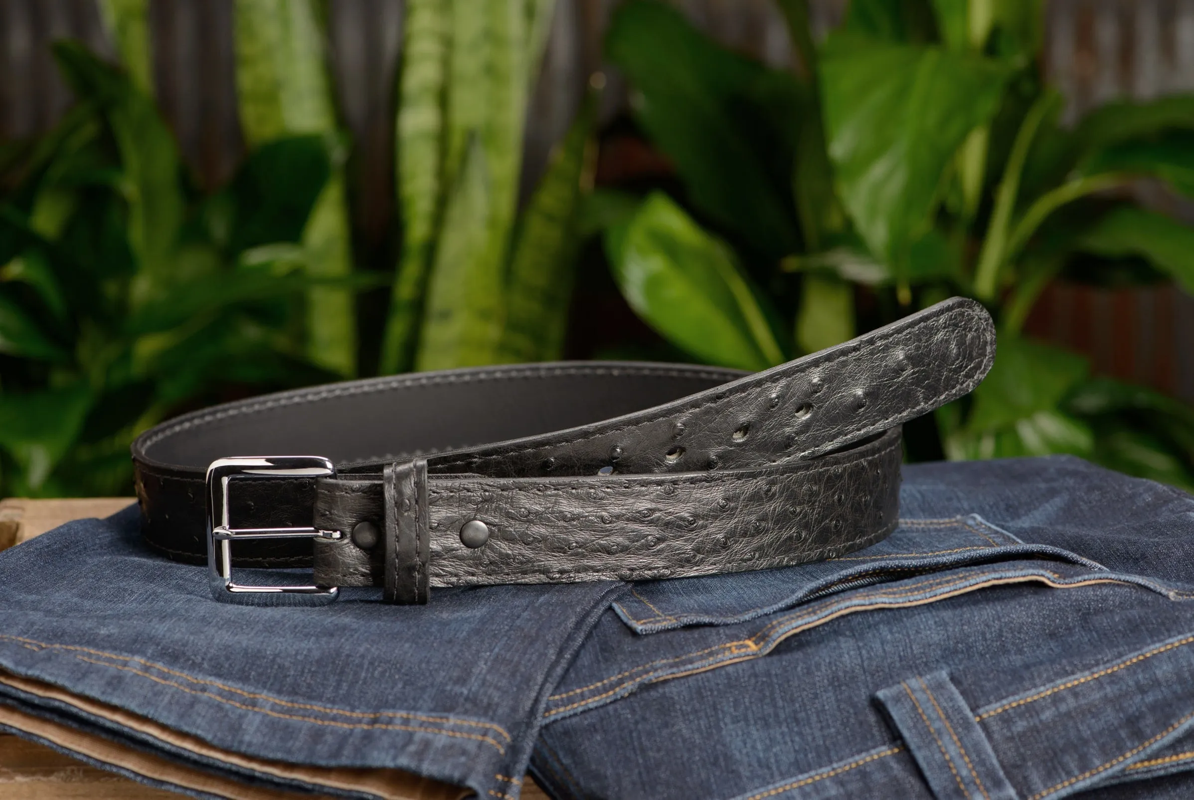 Men's Black South African Ostrich Skin Leather Belt