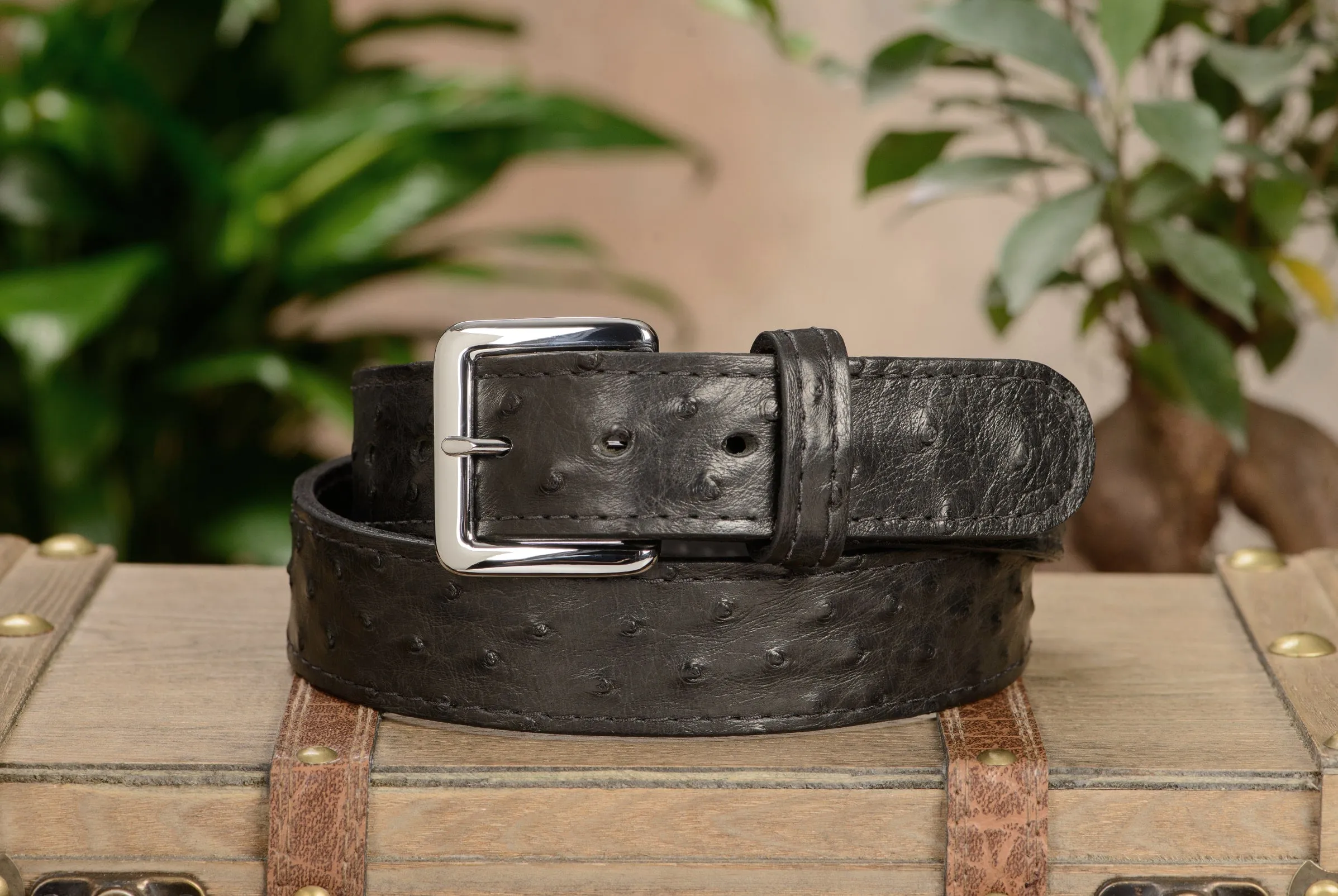 Men's Black South African Ostrich Skin Leather Belt