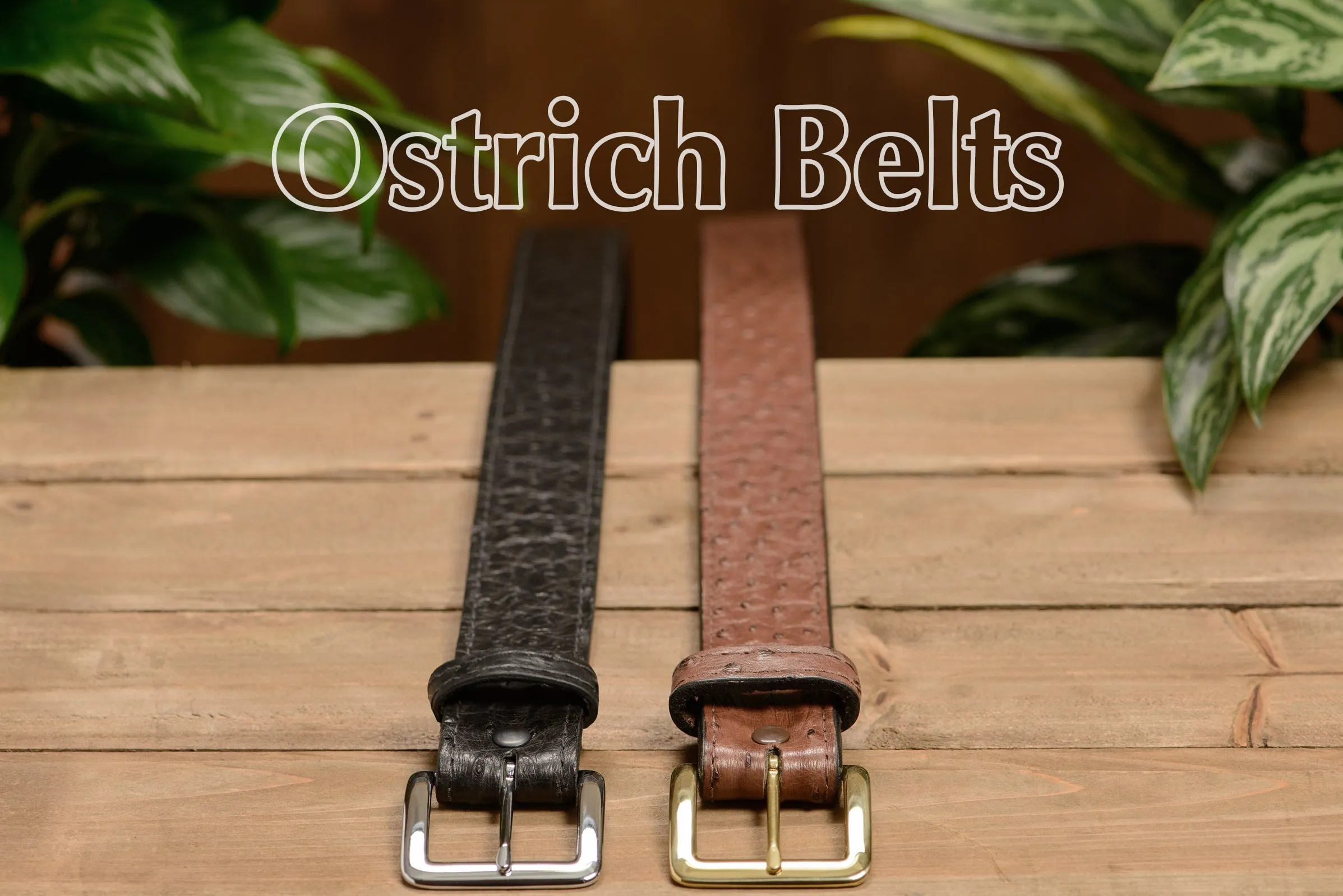 Men's Black South African Ostrich Skin Leather Belt