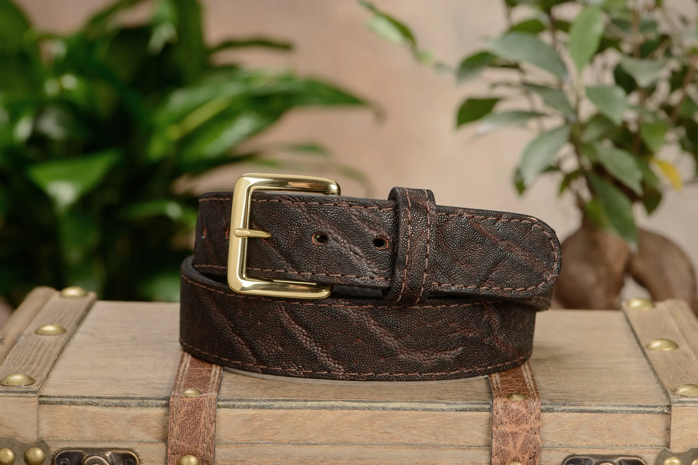 Men's Dark Brown Elephant Leather Belt